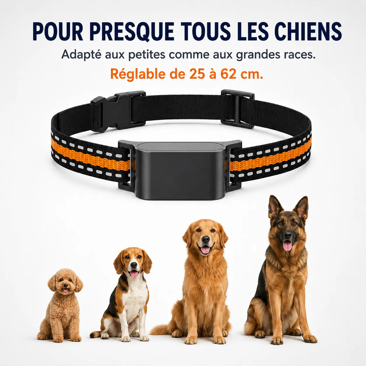 BuddyOra – Traceur GPS pour chiens et chats sans abonnement