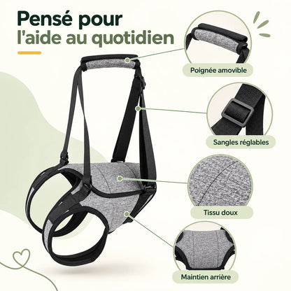 Harnais de soutien arrière pour chien