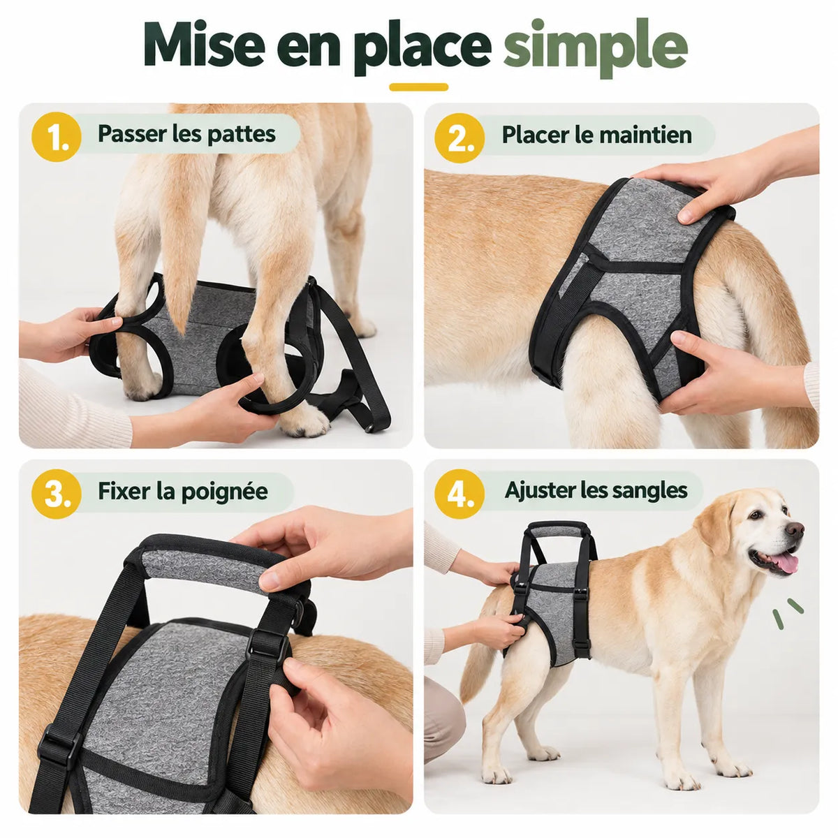 Harnais de soutien arrière pour chien