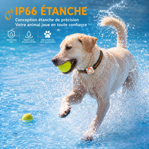 Collier GPS chien et chat