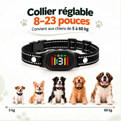 Intelligentes Anti-Bell-Halsband ohne Stromschlag | BuddyOra PD216V