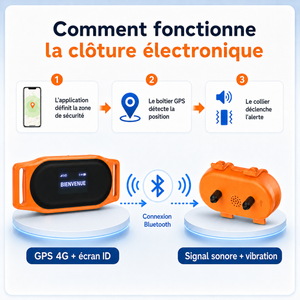 Collier GPS 4G avec géofencing pour chien