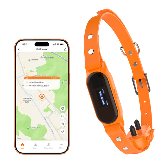 Collier GPS chien anti-fugue : localisation en temps réel + rappel actif