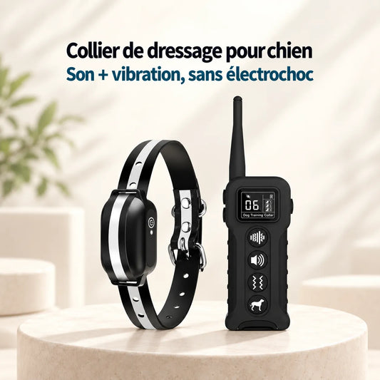 Hunde-Dressurhalsband — Ton & Vibration