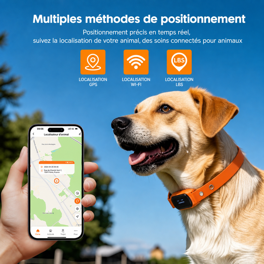 Collier GPS chien anti-fugue avec écran numérique intégré