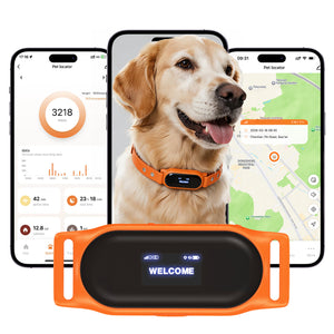 Collier GPS 4G avec géofencing pour chien