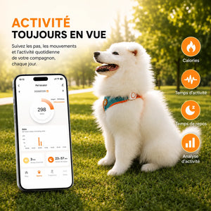 Collier GPS chien et chat