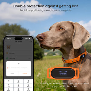 Collier GPS chien anti-fugue avec écran numérique intégré