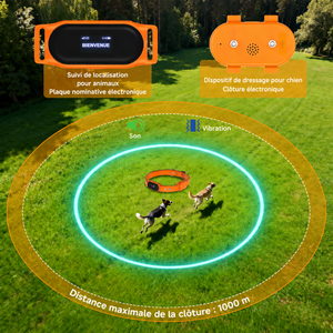 Collier GPS 4G avec géofencing pour chien