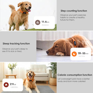 Collier GPS chien anti-fugue avec écran numérique intégré