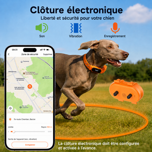 Collier GPS 4G avec géofencing pour chien