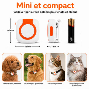 Collier GPS chien et chat