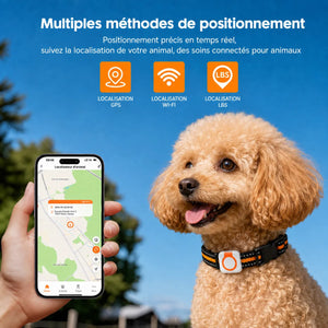 Collier GPS chien et chat