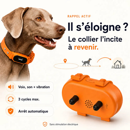 Collier GPS pour chien avec rappel automatique
