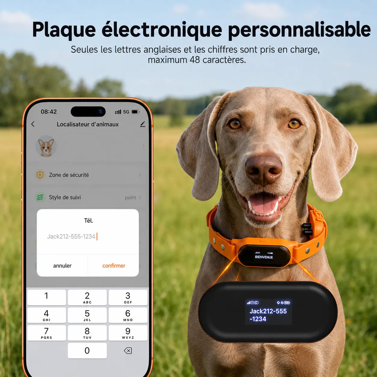 Collier GPS pour chien avec rappel automatique