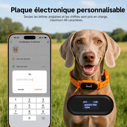Collier GPS pour chien avec rappel automatique
