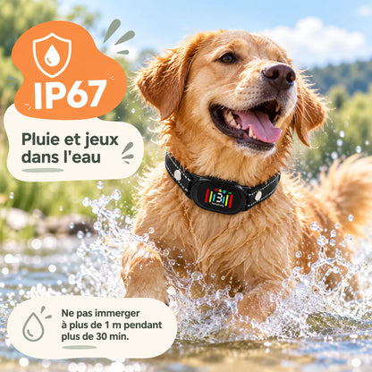 Intelligentes Anti-Bell-Halsband ohne Stromschlag | BuddyOra PD216V