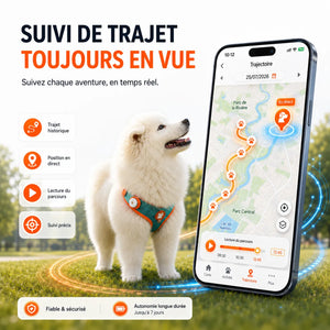 Collier GPS chien et chat