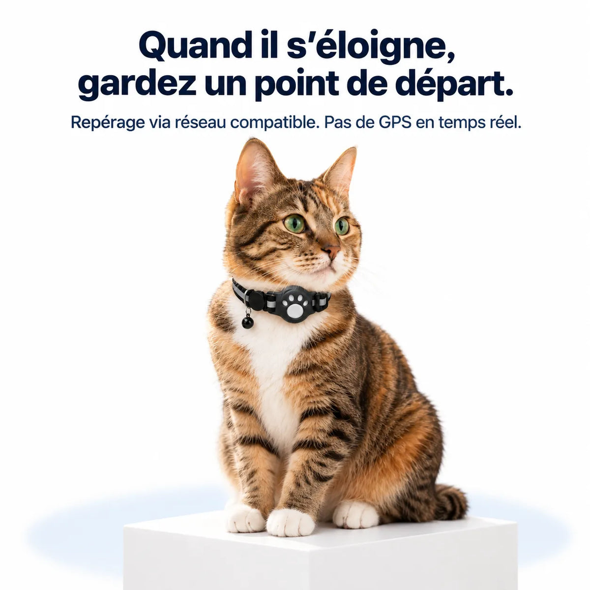 Collier avec traceur intelligent pour chats et petits chiens
