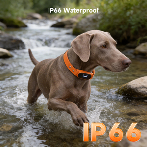 Collier GPS 4G avec géofencing pour chien