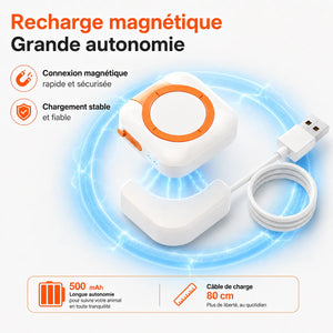 Collier GPS chien et chat