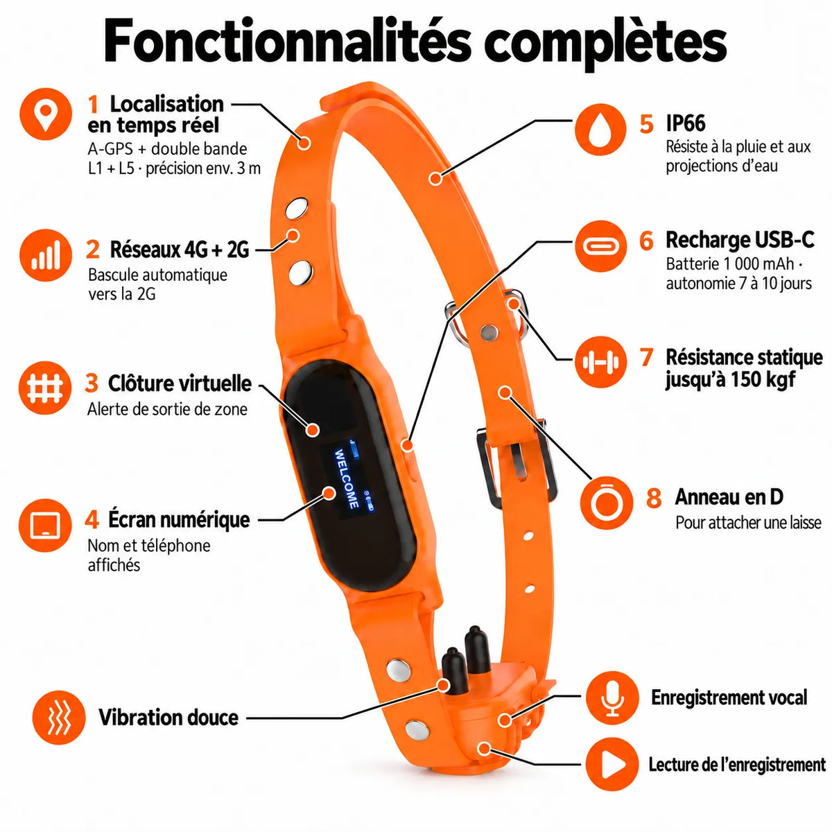 Collier GPS pour chien avec rappel automatique