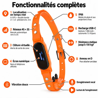 Collier GPS pour chien avec rappel automatique