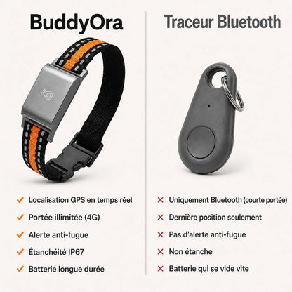 BuddyOra – Traceur GPS pour chiens et chats sans abonnement