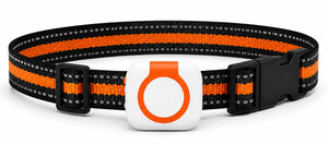 Collier GPS chien et chat