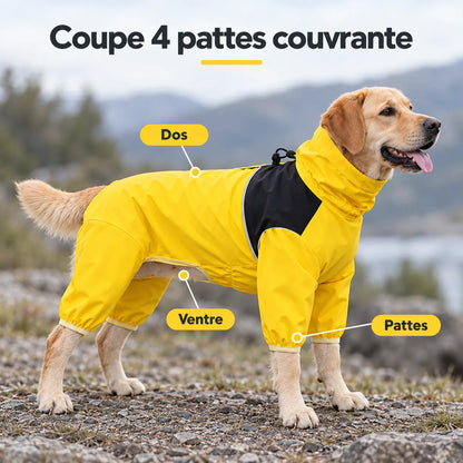 Imperméable 4 pattes pour chien - Pluie, boue et balades du quotidien