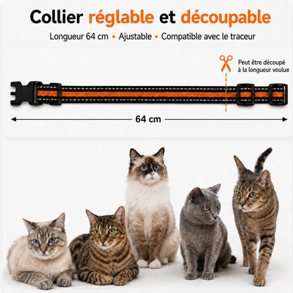 Traceur GPS 4G pour chat BuddyOra C08 avec Bip et LED | BuddyOra