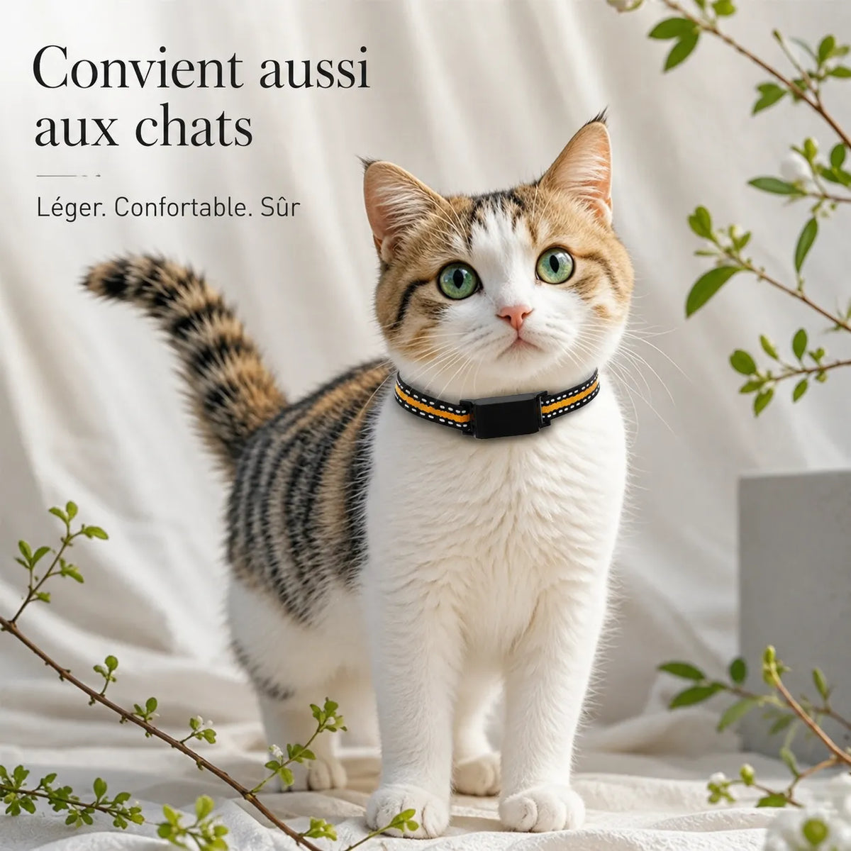 BuddyOra – Traceur GPS pour chiens et chats sans abonnement