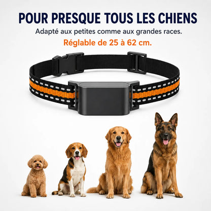 BuddyOra – Traceur GPS pour chiens et chats sans abonnement