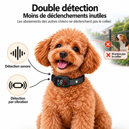 Caniche portant le collier K13 avec schéma de double détection sonore et par vibration.