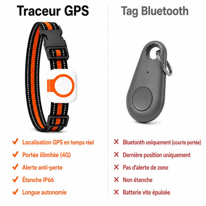 Traceur GPS 4G pour chat BuddyOra C08 avec Bip et LED | BuddyOra