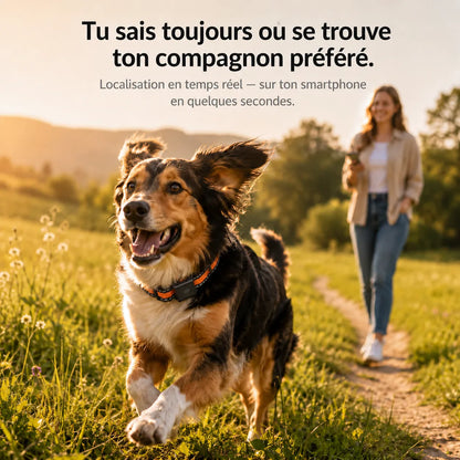 BuddyOra – Traceur GPS pour chiens et chats sans abonnement