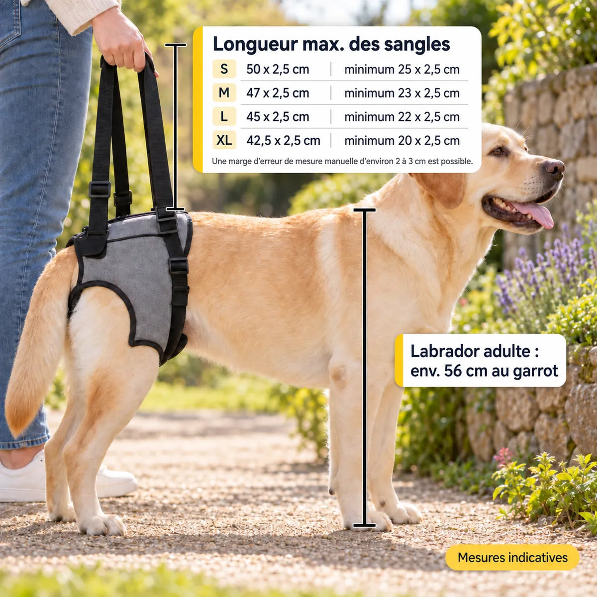 Harnais de soutien arrière pour chien