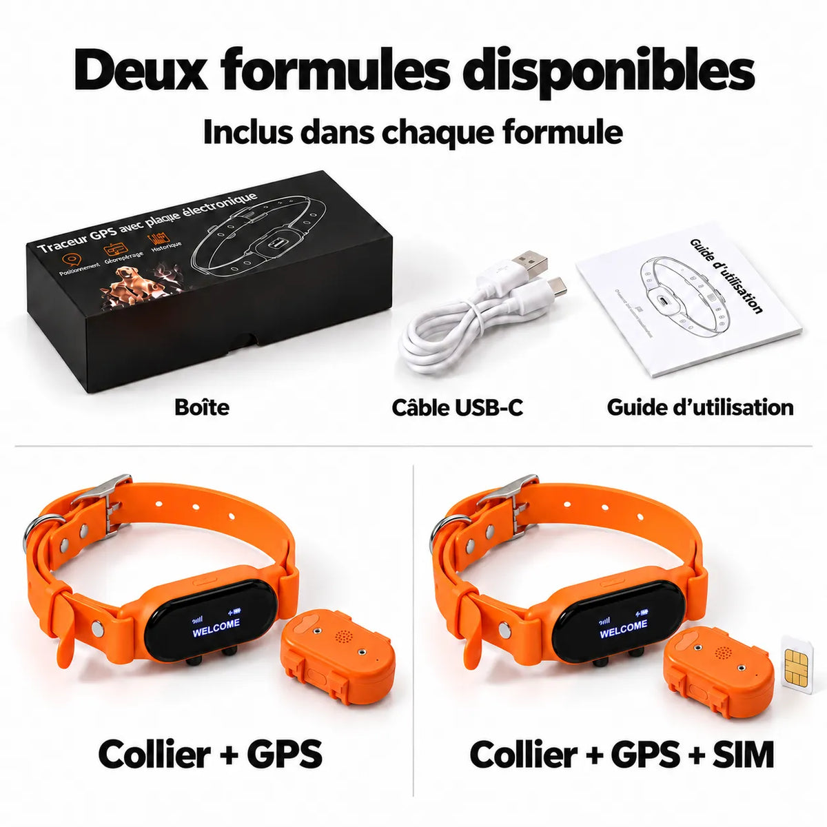 Collier GPS pour chien avec rappel automatique
