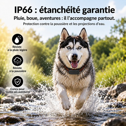 BuddyOra – GPS Tracker for Dogs and Cats with No Subscription Fee