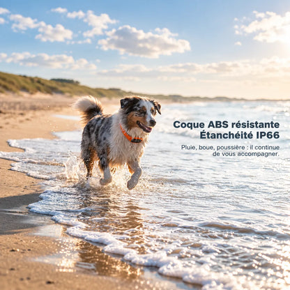 GPS-Hundehalsband mit integriertem Digitaldisplay