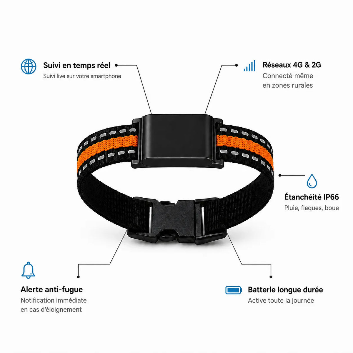 BuddyOra – GPS Tracker for Dogs and Cats with No Subscription Fee