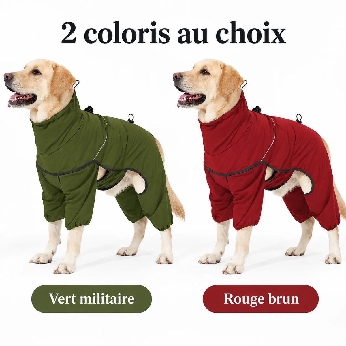 Manteau chaud imperméable 4 pattes pour chien en vert militaire et rouge brun, sur labrador.