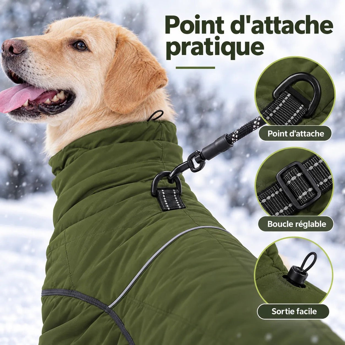 Détails du manteau imperméable pour chien : anneau d'attache laisse et boucle réglable.