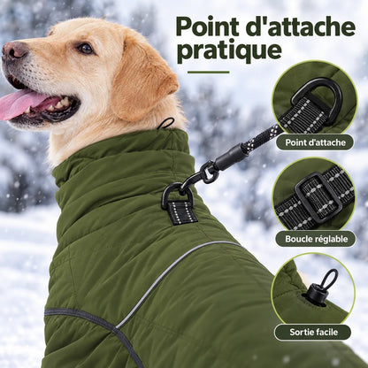 Détails du manteau imperméable pour chien : anneau d'attache laisse et boucle réglable.