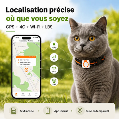 Traceur GPS 4G pour chat BuddyOra C08 avec Bip et LED | BuddyOra