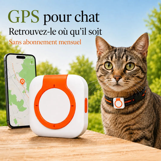Traceur GPS 4G pour chat BuddyOra C08 avec Bip et LED | BuddyOra
