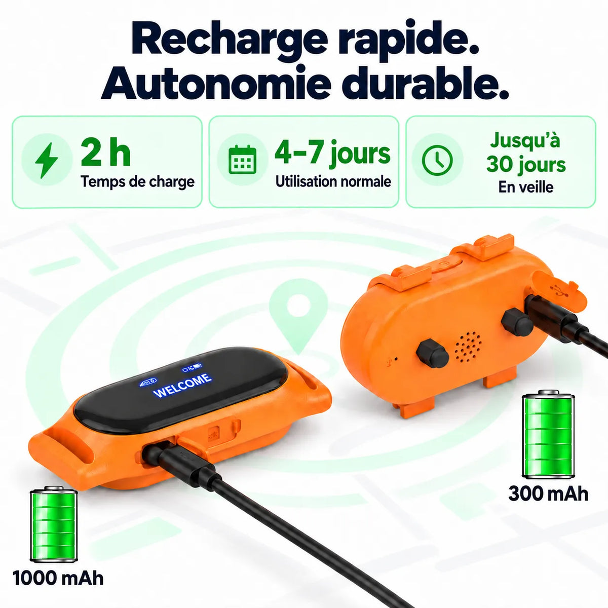 Collier GPS pour chien avec rappel automatique