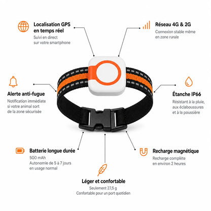 Traceur GPS 4G pour chat BuddyOra C08 avec Bip et LED | BuddyOra